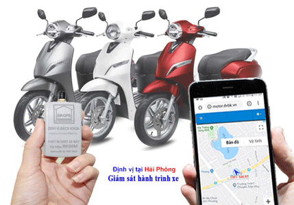 dinh-vi-xe-tai-hai-phong.gif